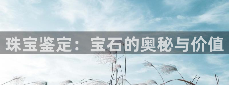 新宝5秒开：珠宝鉴定：宝石的奥秘与价值