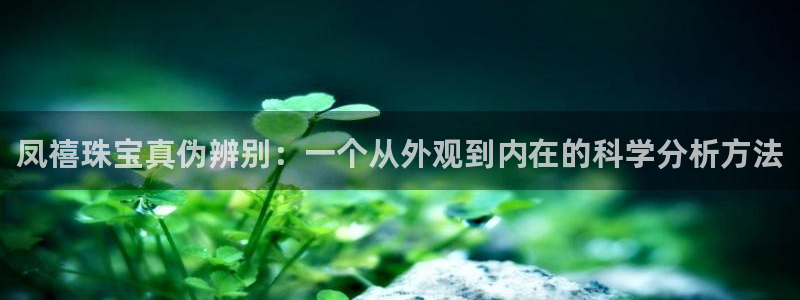 新宝5手机版：凤禧珠宝真伪辨别：一个从外观到内在的科学分析方法
