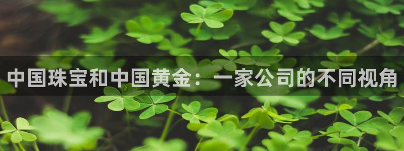新宝5 唯一：中国珠宝和中国黄金：一家公司的不同视角