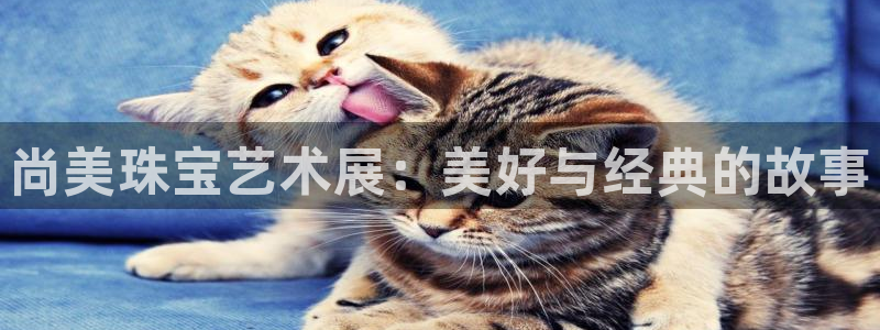 新宝股东瞧听2 5 5：尚美珠宝艺术展：美好与经典的故事