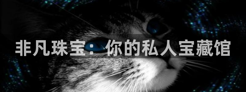 新宝rm5：非凡珠宝：你的私人宝藏馆