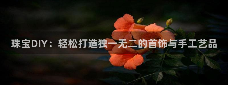 新宝5平台霸：珠宝DIY：轻松打造独一无二的首饰与手工艺品