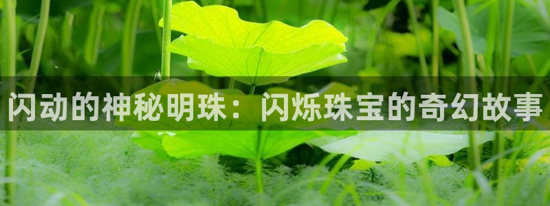 p5r新宝魔：闪动的神秘明珠：闪烁珠宝的奇幻故事