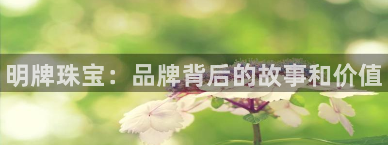 新宝5如何注册登录：明牌珠宝：品牌背后的故事和价值