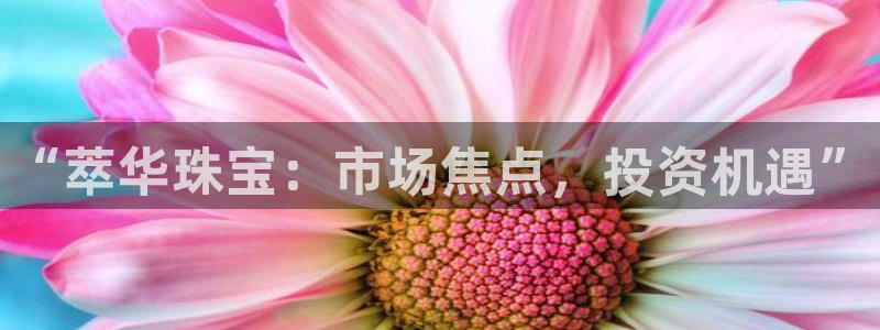 新宝5挂机：“萃华珠宝：市场焦点，投资机遇”