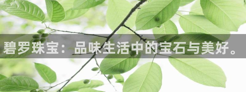 新宝5秒开：碧罗珠宝：品味生活中的宝石与美好。