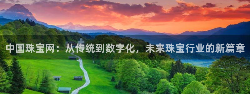 新宝5代理：中国珠宝网：从传统到数字化，未来珠宝行业的新篇章