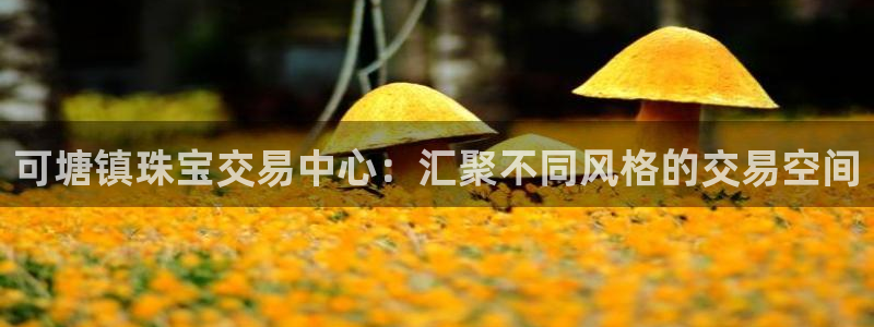新宝5 唯一：可塘镇珠宝交易中心：汇聚不同风格的交易空间