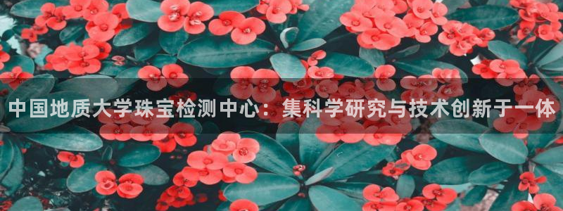 新宝5平台注册公司：中国地质大学珠宝检测中心：集科学研究与技术创新于一体