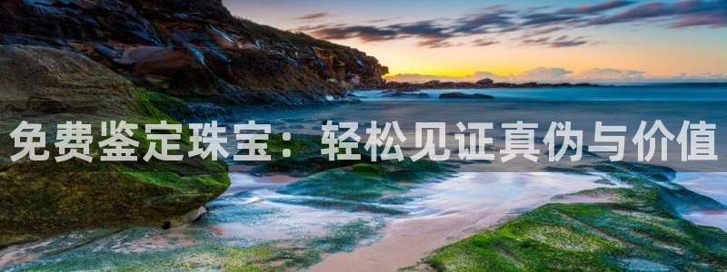 新宝5测：免费鉴定珠宝：轻松见证真伪与价值