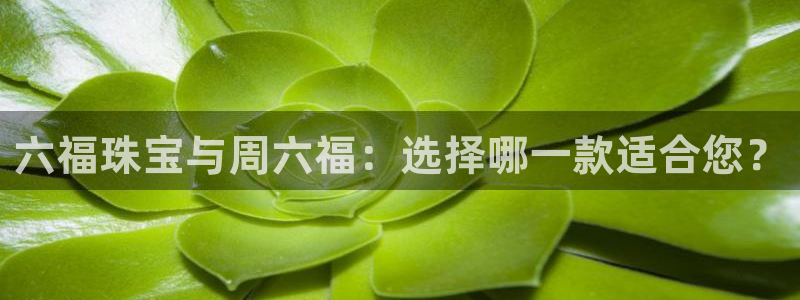 新宝cR一5：六福珠宝与周六福：选择哪一款适合您？
