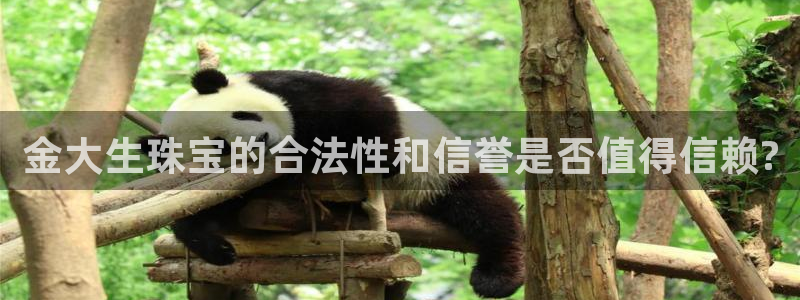 2022新宝骏rs 5：金大生珠宝的合法性和信誉是否值得信赖?