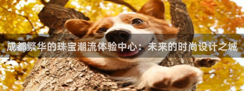 新宝5唯一：成都繁华的珠宝潮流体验中心：未来的时尚设计之城