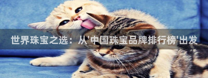 新宝5登录霸：世界珠宝之选：从\'中国珠宝品牌排行榜\'出发