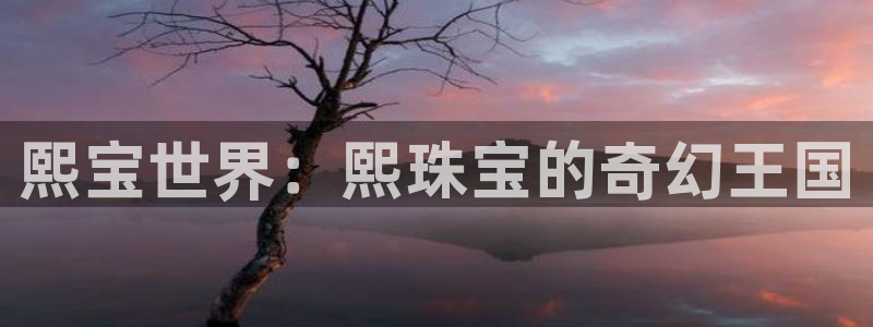 新宝5的网址：熙宝世界：熙珠宝的奇幻王国