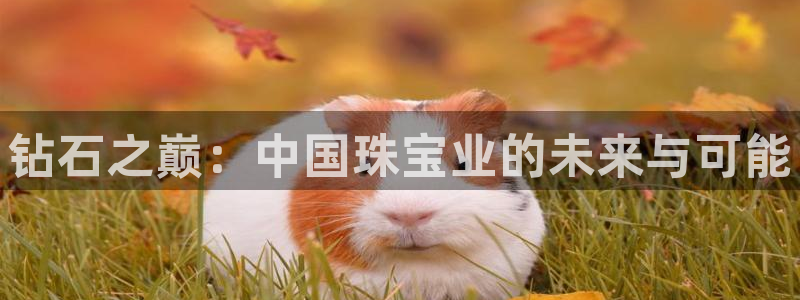 新宝5分彩：钻石之巅：中国珠宝业的未来与可能
