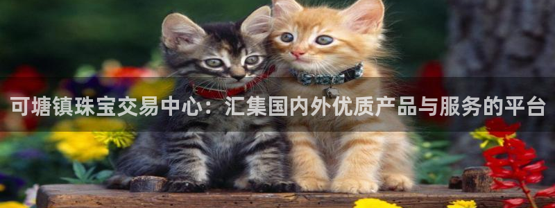 新宝娱乐5入口：可塘镇珠宝交易中心：汇集国内外优质产品与服务的平台