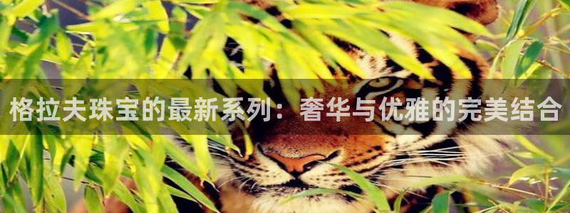 新宝5周74OOO5：格拉夫珠宝的最新系列：奢华与优雅的完美结合