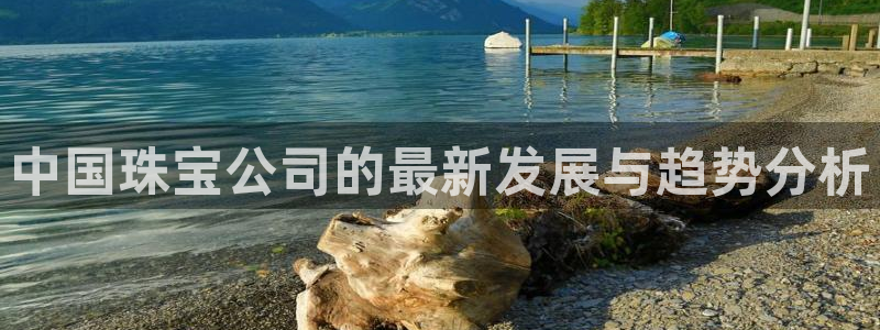 新宝5日谢29999：中国珠宝公司的最新发展与趋势分析