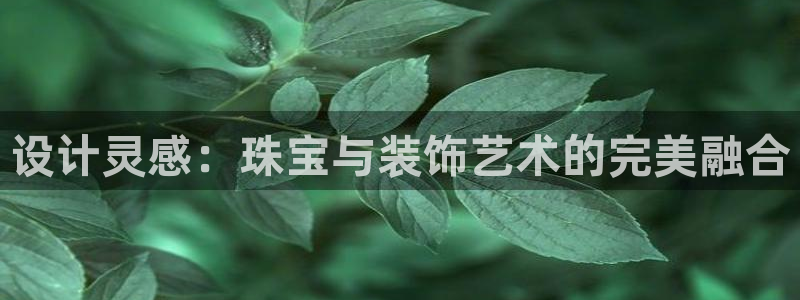 新宝5电脑登录网址：设计灵感：珠宝与装饰艺术的完美融合