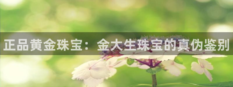 新宝5口67五壹叁八：正品黄金珠宝：金大生珠宝的真伪鉴别
