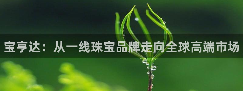 新宝rm5：宝亨达：从一线珠宝品牌走向全球高端市场