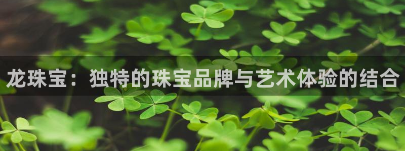 新宝5日740005蔻：龙珠宝：独特的珠宝品牌与艺术体验的结合