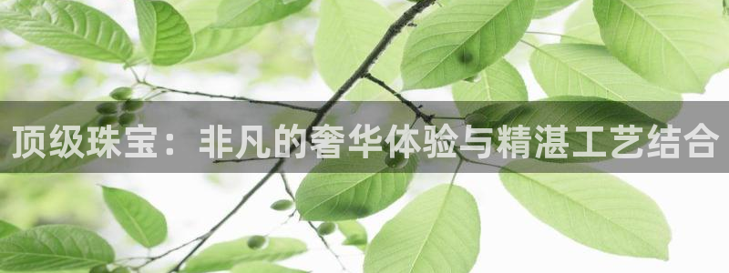 新宝5尤74OOO5：顶级珠宝：非凡的奢华体验与精湛工艺结合