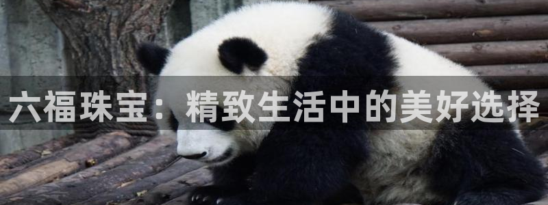 新宝5娱乐然：六福珠宝：精致生活中的美好选择