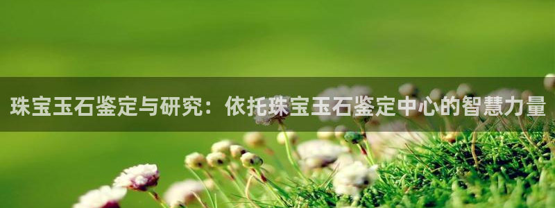 新宝5现在还能玩吗：珠宝玉石鉴定与研究：依托珠宝玉石鉴定中心的智慧力量