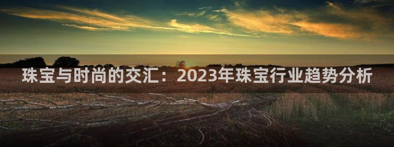 新宝5寻33 300球：珠宝与时尚的交汇：2023年珠宝行业趋势分析
