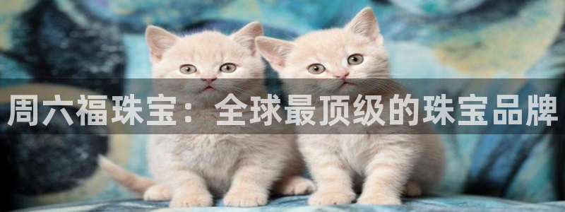 新宝股东张听2 5 5
