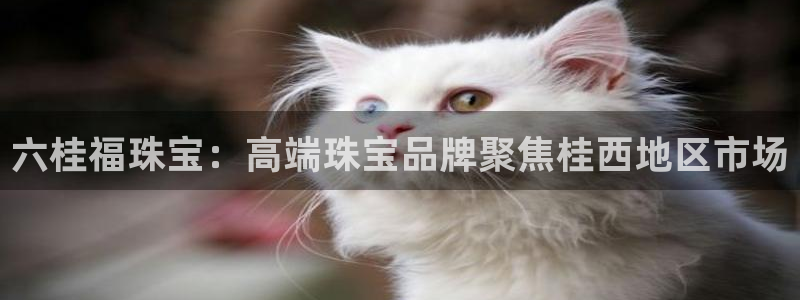 新宝5开户：六桂福珠宝：高端珠宝品牌聚焦桂西地区市场