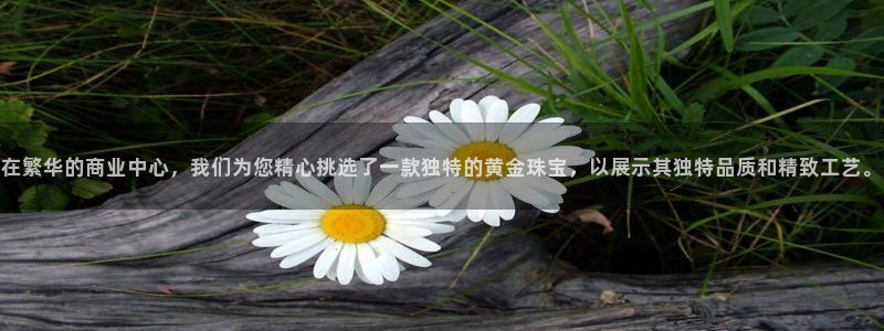 新宝5可靠吗：在繁华的商业中心，我们为您精心挑选了一款独特的黄金珠宝，以展示其独
