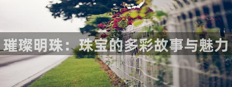 新宝5X：璀璨明珠：珠宝的多彩故事与魅力
