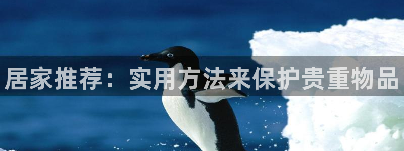 新宝5娱乐没：居家推荐：实用方法来保护贵重物品
