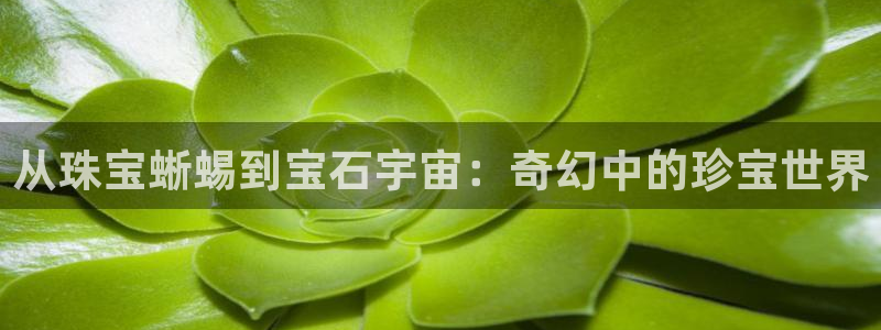 新宝5娱乐同：从珠宝蜥蜴到宝石宇宙：奇幻中的珍宝世界
