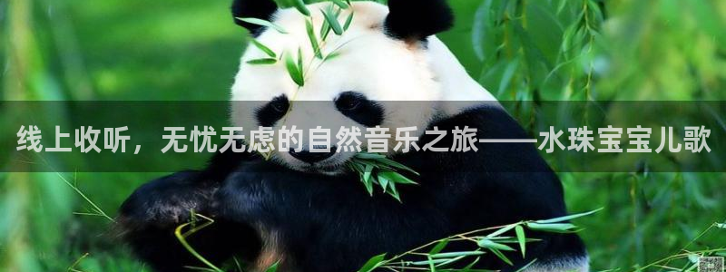 新宝5 888：线上收听，无忧无虑的自然音乐之旅——水珠宝宝儿歌