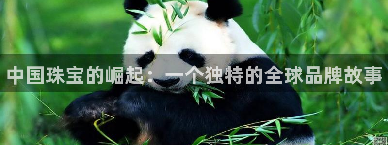 新宝5注册账号：中国珠宝的崛起：一个独特的全球品牌故事