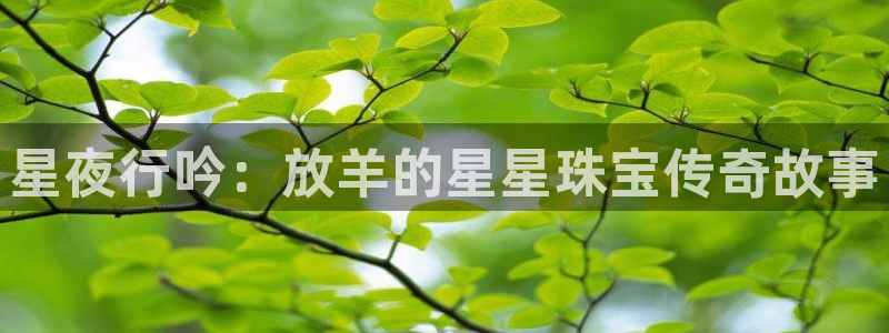 新宝5分彩：星夜行吟：放羊的星星珠宝传奇故事