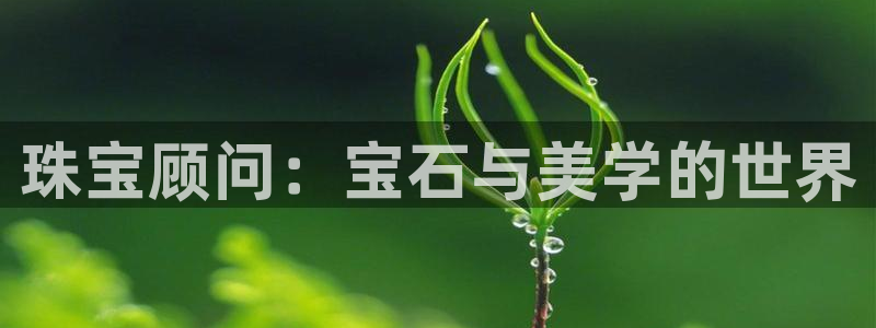 新宝5可靠吗：珠宝顾问：宝石与美学的世界