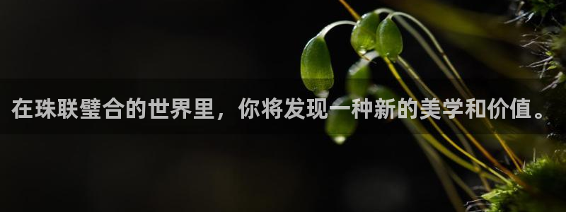 新宝5登录：在珠联璧合的世界里，你将发现一种新的美学和价值。