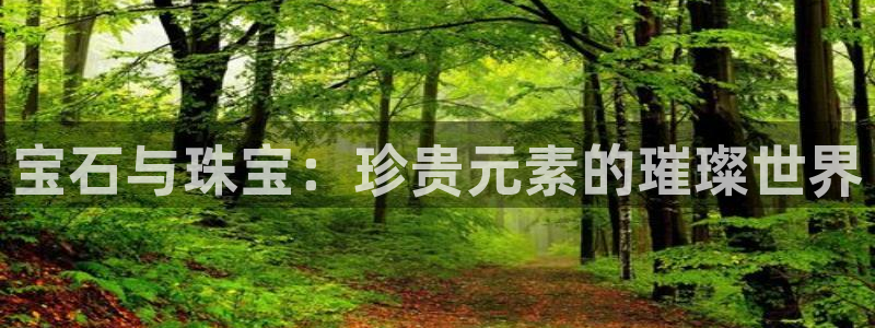 新宝5软件下载：宝石与珠宝：珍贵元素的璀璨世界