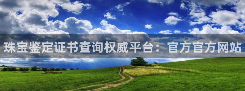 新宝骏rc5W：珠宝鉴定证书查询权威平台：官方官方网站