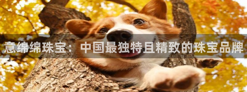 新宝5日740005蔻：意绵绵珠宝：中国最独特且精致的珠宝品牌
