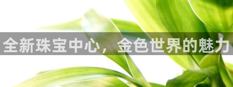 新宝5注册测速登录：全新珠宝中心，金色世界的魅力