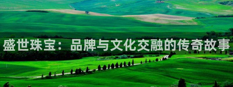 新宝5登录测速中心：盛世珠宝：品牌与文化交融的传奇故事