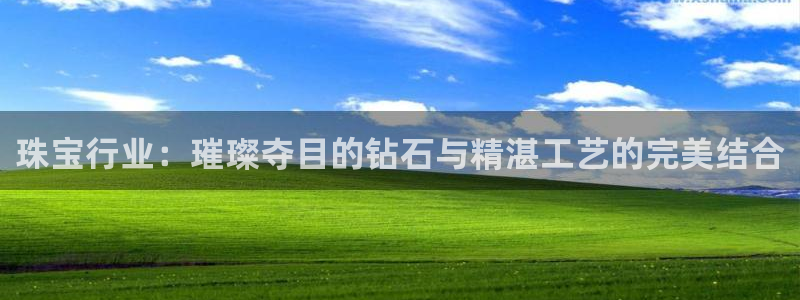 新宝5平台注册：珠宝行业：璀璨夺目的钻石与精湛工艺的完美结合