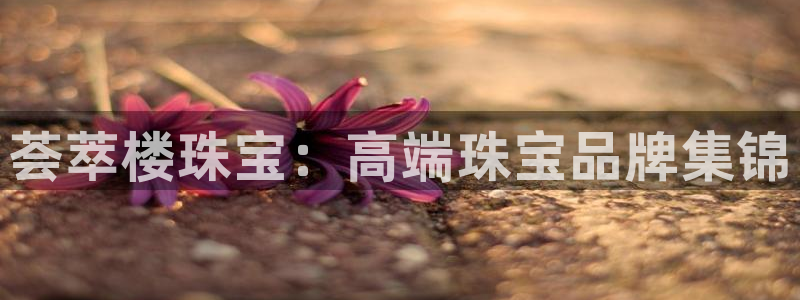 新宝5软件下载：荟萃楼珠宝：高端珠宝品牌集锦