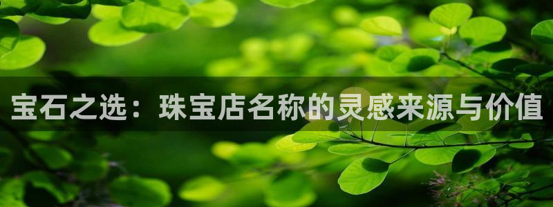 新宝5怎么代理：宝石之选：珠宝店名称的灵感来源与价值